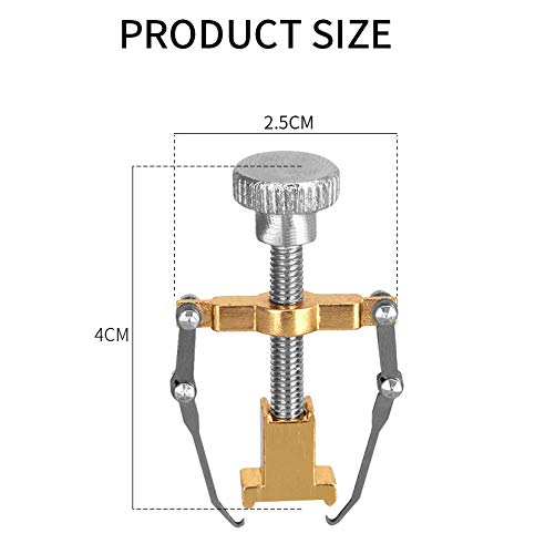 Ingrown Toenail Correction Tool with CASE | Feet Toe Nail Pedicure Corrector Lifter Fixer Toe Nail Straightener Tool & Helps Treatment for Nail Fungus | Toe Nail Correction Tool - GOLD
