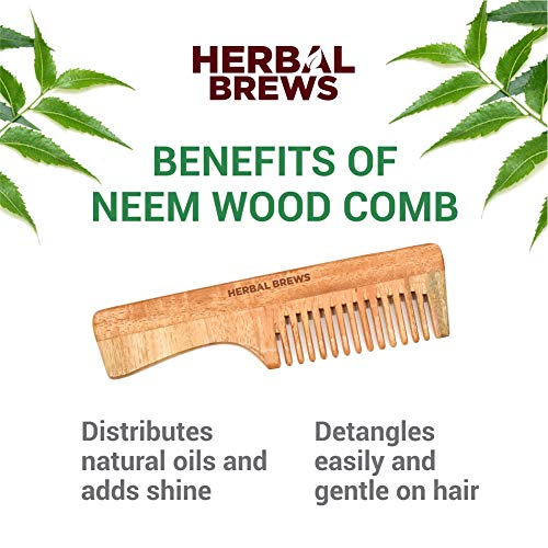 Desi Neem Wooden Comb for Women & Men | Hair Growth | Anti-Bacterial, Dandruff Remover & Hair Styling Comb | Handcrafted (Set of 3)