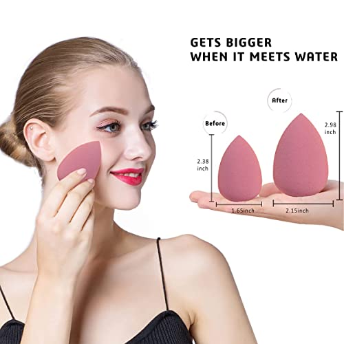 Makeup Sponges for Foundation - Makeup Sponge Set for Blending - Beauty Blender Set of 4 + Egg Case Holder - Flawless for Cream, Powder and Liquid (Pink Mix Colours)